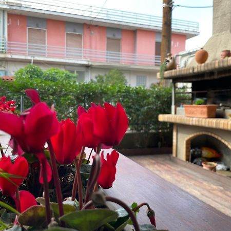 Triptolemus Stay Inn エレフシナ エクステリア 写真